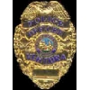 VENTURA, CA POLICE DEPARTMENT MINI BADGE PIN